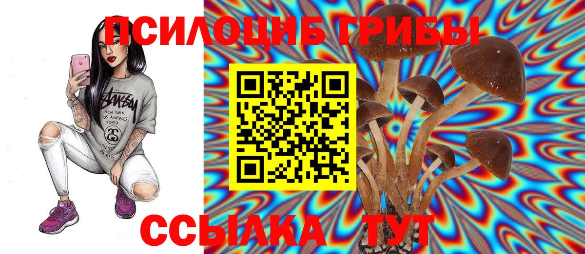 Лысьва  купить  цена  Вход с VPN  Псилоцибиновые грибы GOLDEN TEACHER 